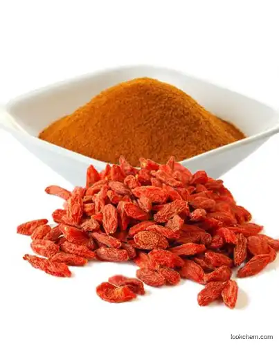 Goji Berry Extract Nutrition Food