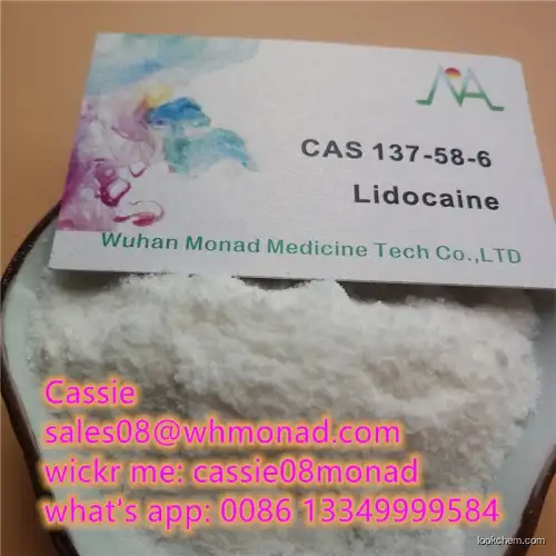 Factory price high purity Lidocaine Powder for Pain Killer CAS NO.137-58-6