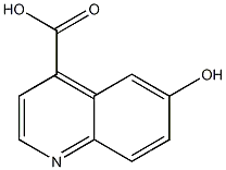 6-Hydroxy-4-quinolinecarboxylic acid