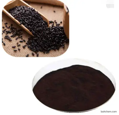 Black rice anthocyanin 25% Black rice flower extract 13306-05-3 natural antioxidants European Standards