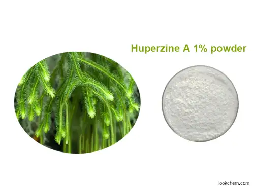 Huperzine Extract(5%-98%) high quality health nutrition