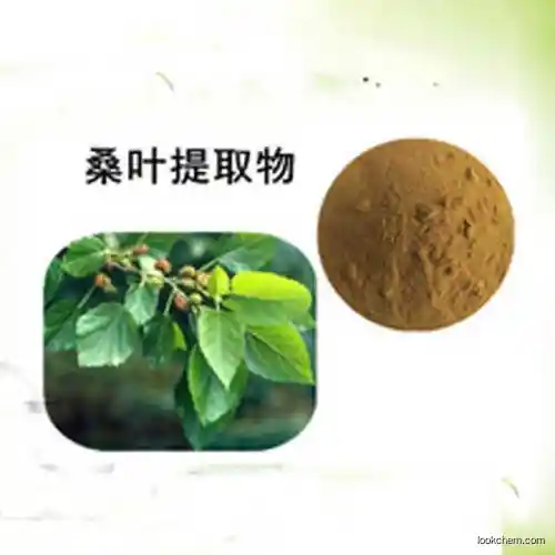 100% natural plant extract Mulberry Extract pure and highquality