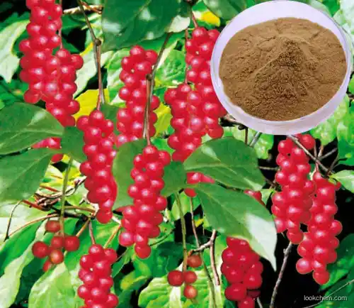 100% natural plant extract Schisandra Extract high quality