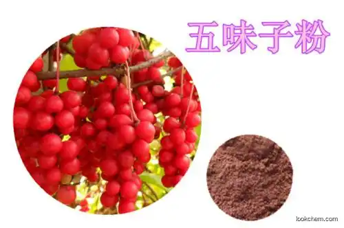 100% natural plant extract Schisandra Extract high quality
