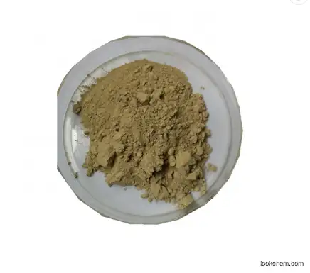 Best quality Ursolic acid 77-52-1