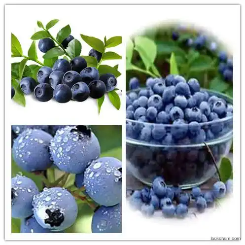 100% natural Blueberry Extract Anthocyanidin 25%  health nutrition