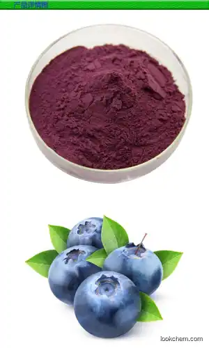 100% natural Blueberry Extract Anthocyanidin 25%  health nutrition