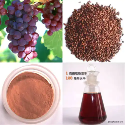 natural Grape seed Extract proanthocyanidis (90%UV
