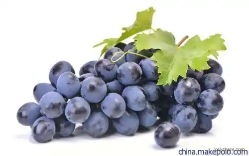 natural Grape seed Extract proanthocyanidin health nutrition