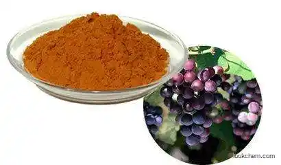 natural Grape seed Extract proanthocyanidin health nutrition