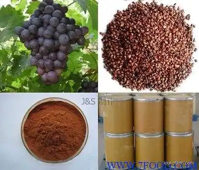 natural Grape seed Extract proanthocyanidin health nutrition