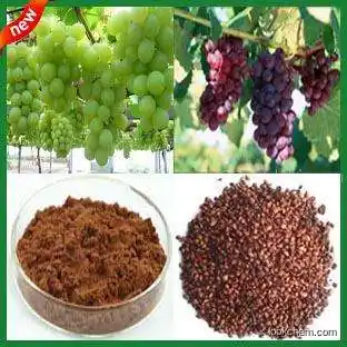 natural Grape seed Extract proanthocyanidin health nutrition