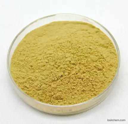 Factory Supply Best Quality Marigold Flower Lutein Powder/Lutein CAS 127-40-2