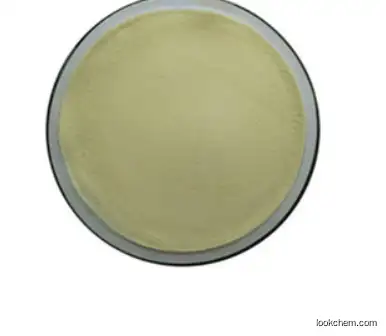 Factory Supply Best Quality Marigold Flower Lutein Powder/Lutein CAS 127-40-2