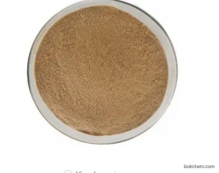 High Quality Pure Natural Powder Monk Fruit Extract Momordica Grosvenori CAS:88901-36-4 Lo Han Guo Powder