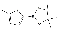 5-Methylthiophene-2-boronic acid pinacol ester, 95%CAS NO.: 476004-80-5