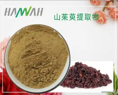 Kiwi Extract  high quality health nutrition