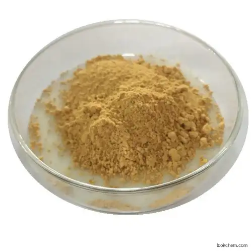 Milk Thistle Extract 80% Silymarin/Milk Thistle Powder