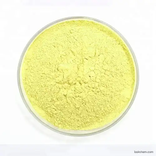 Low price Hesperidin 95% HPLC Citrus Aurantium Extract(94266-47-4)