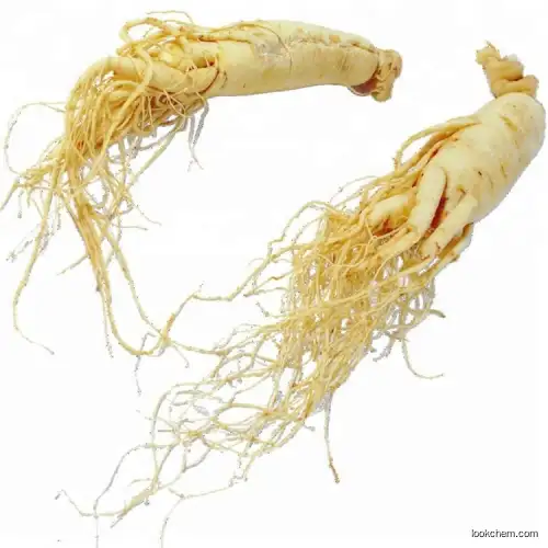 low pesticide? Ginseng Root Extract Ginsenoside