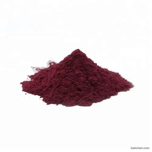 High Quality Blueberry Fruit Extract 25% Anthocyanidins