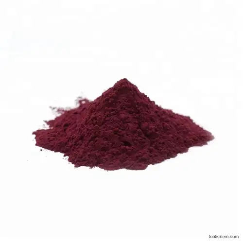 Low Price High Quality Bilberry Fruit Extract 25% Anthocyanidins