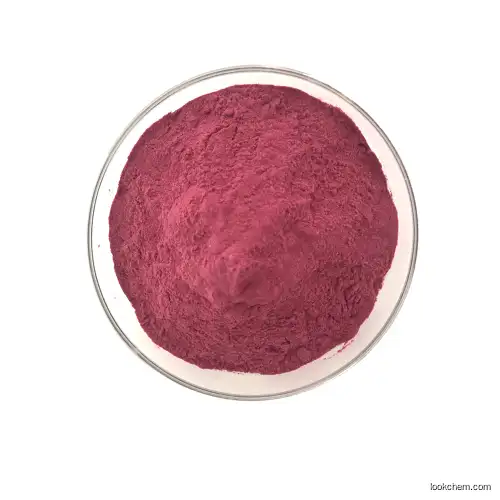 Europe Factory price  Stock Wholesale Blueberry Extract powder