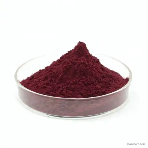 Europe Factory price  Stock Wholesale Blueberry Extract powder