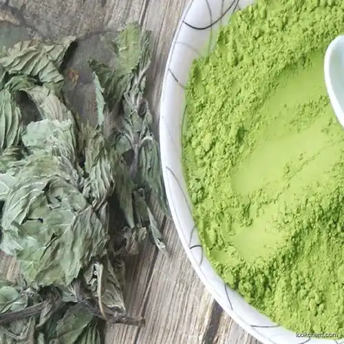natual and pure peppermint  fruit extract