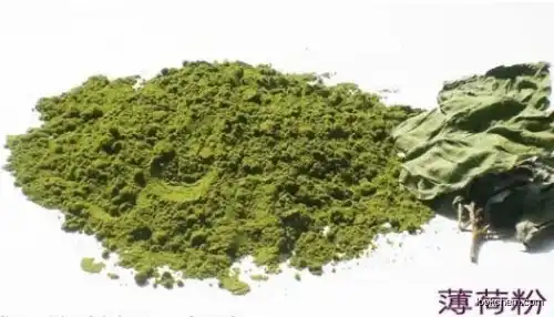 natual and pure peppermint  fruit extract