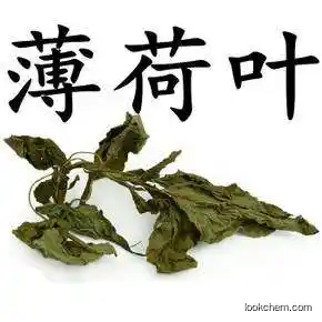 natual and pure peppermint  fruit extract