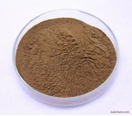 Factory supply  Dang Gui/Chinese Angelica root extract powder polysaccharide CAS 4431-01-0