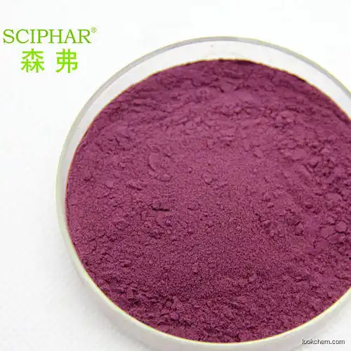 100% natural blackberry powder food and beverage addictive