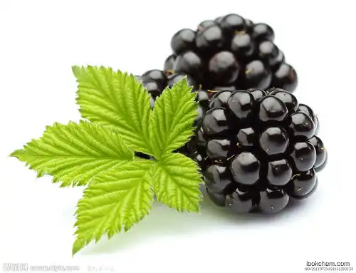 100% purity and natural blackberry  fruit extract