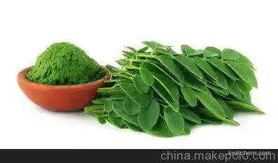 Moringa powder vegetabe high quality and purity