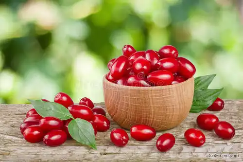 Cornus Extract  functional friut food beverage