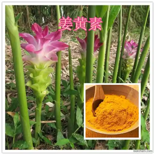 Turmeric Extract  functional friut food beverage