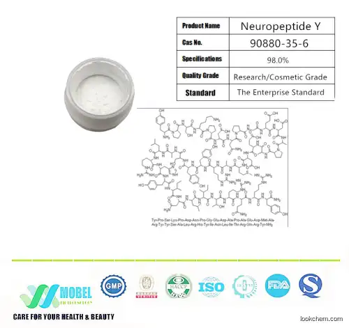 Custom peptide NPY peptide Neuropeptide Y (human, rat) Acetate  Cas 90880-35-6  Purity 98%