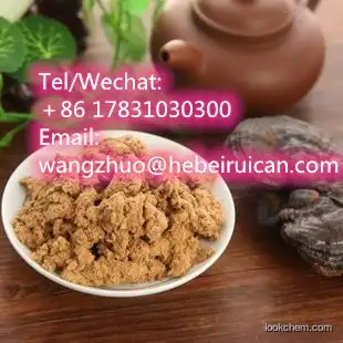 Wholesale reishi extract ganoderma lucidum extract reishi mushroom powder