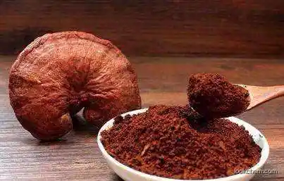 Wholesale reishi extract ganoderma lucidum extract reishi mushroom powder