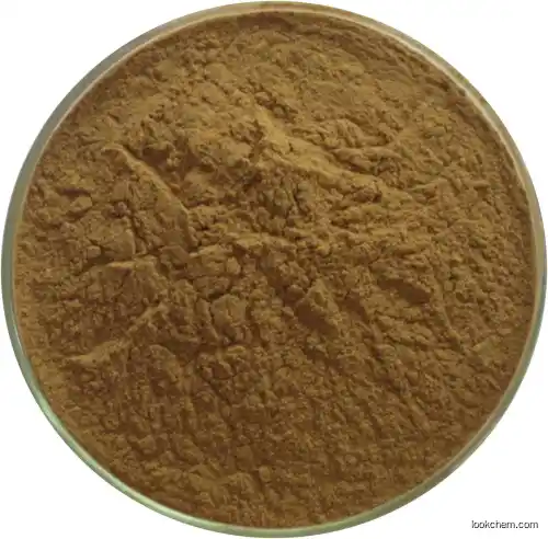 High Quality echinacea purpurea root extract 10:1