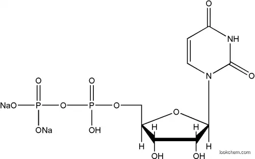 27821-45-0 Uridine 5’-diphosphate disodium salt（UDP-Na2）powder