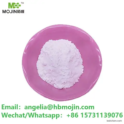 Piracetam Powder 7491-74-9