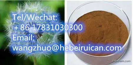 High Quality Dandelion Root Extract