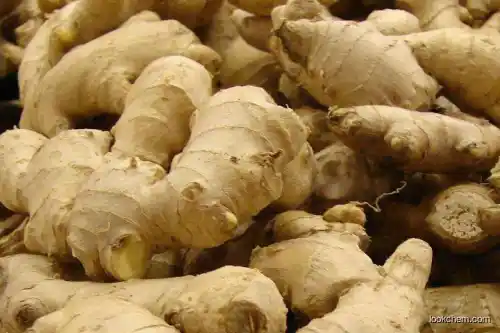 Chinese Competitive Dehydrated Ginger Powder Price