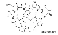 Nosiheptide