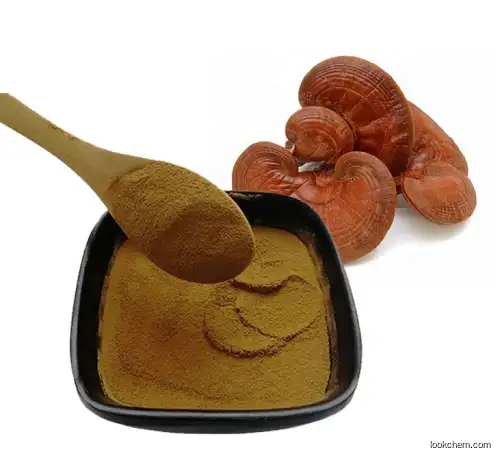 Herbal  Natural Organic Reishi Mushroom Extracts   Ganoderma Lucidum Powder For health supplements