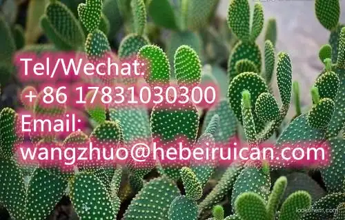 100% Organic San Pedro Cactus Extract,Cactus Plant Extract Powder 10:1