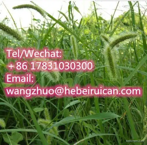 Provide Horsetail P.E. Extract powder Organic Silica acid 7%