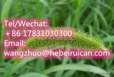 Provide Horsetail P.E. Extract powder Organic Silica acid 7%